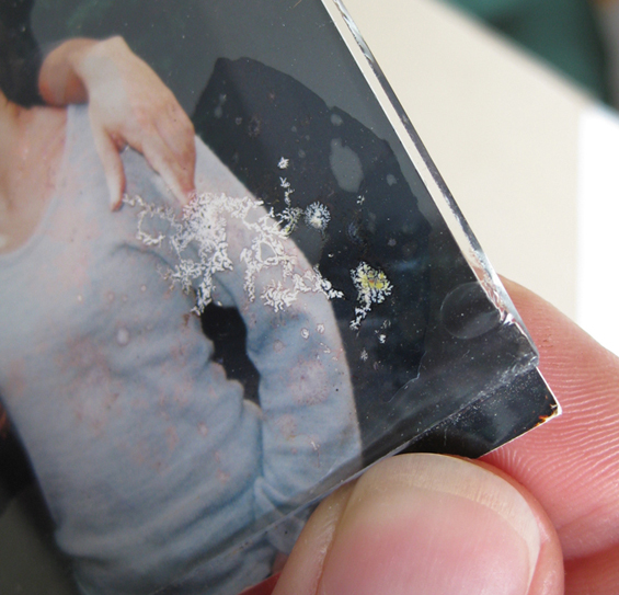 damaged photo from glass
